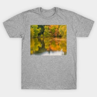 Reflecting on the Concord River T-Shirt